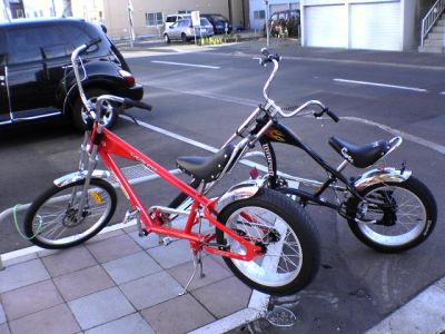 同型の自転車かと思ってたんですが、写真を見ると微妙に違うようにも見えますね。