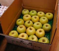 10kg���Ƃ��ꂪ�Q�i�Ƃ������ƂɂȂ�܂��B