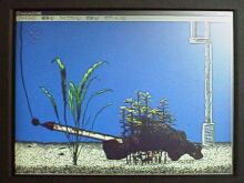 ���A�؂̉A����o�Ă��Ă���܂���c