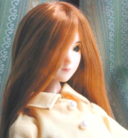 ���́i�߂����j