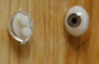 ����̓u���E���̃A�C�B�Ƃɂ����������ł��B