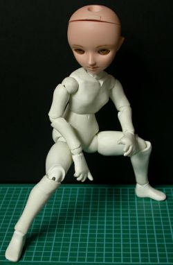 �������ɍ��𗎂Ƃ��ƕs����ɂȂ�܂����c