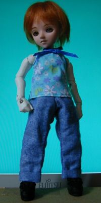 �������{�^�R�J�t�F�Y�{��