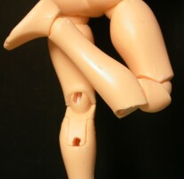 �G�֐߂̍\��