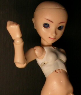 �e�̉��Ɍ��Ԃ��ڗ����܂�