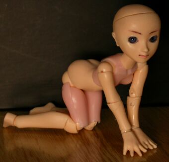 ���̉��Ɏ኱�N�Z�͂���܂����A�r�ő̂��x���邱�Ƃ͏\���\�B