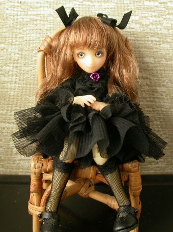 �J�X�^�������i�T���v��