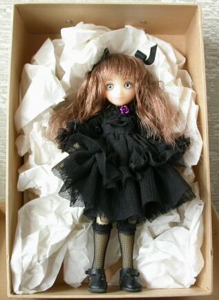 �J�X�^�������i�̏��i���e