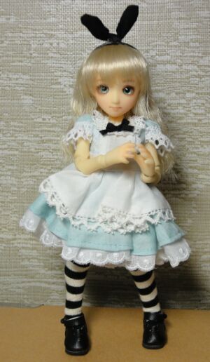 �A���X���J�X�^�������i