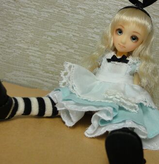 �h�[�����A�A�N�Z�T���ڍ�