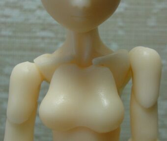 �㔼�g�̃p�[�c�\��