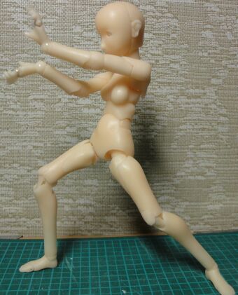 �g�����͋r���オ��Ȃ����ߍ��̓������|�[�Y���ł��܂���c