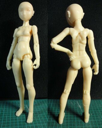 �f�̐��ʁA�w��