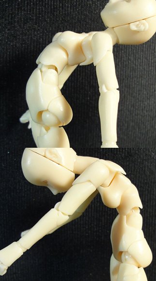 ���֐߂̉��͈�