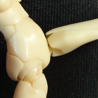 �Ҋ֐߂̉��͈�