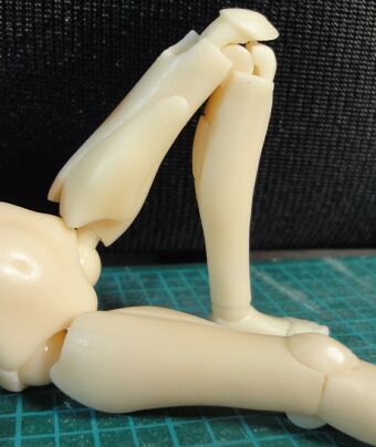 �r�̉��͈�