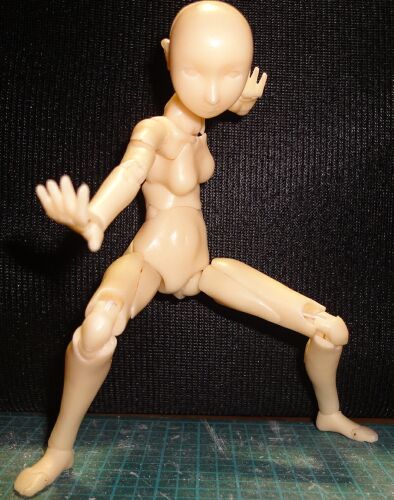 ���𗎂Ƃ����|�[�Y�����肵�܂�