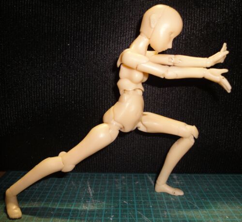 �g�����|�[�Y�͂�莩�R�ȍ\�����\��