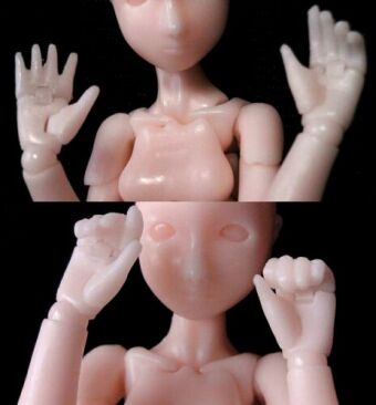 �w�p�[�c�S��