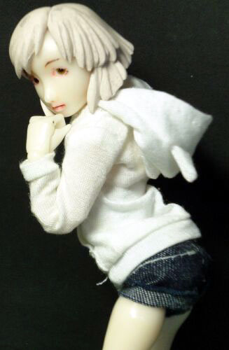 �h�[�������p��(�l�R�~�~�p�[�J�[)