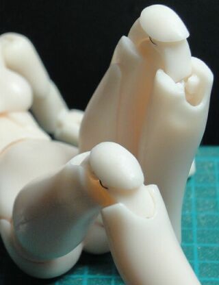 �G�֐߂̍\��