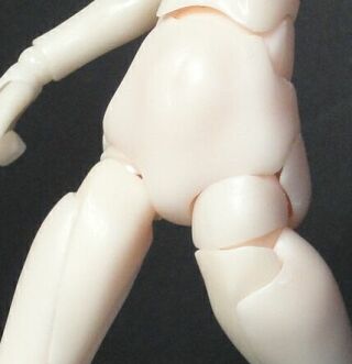 �Ҋ֐߂̈����o���i�O���j