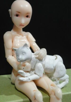 �ɂ�񂱑f�̂ƕ������f��