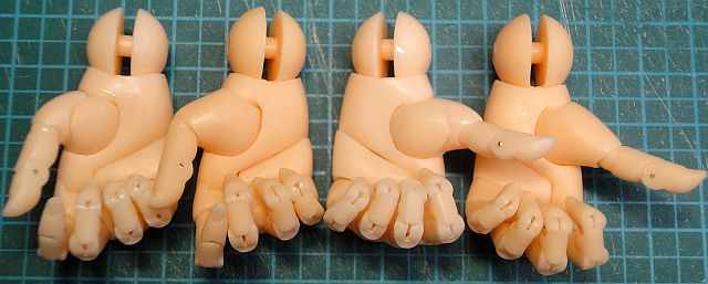 �e�w���̐V����r