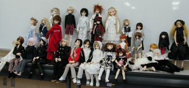 SD+�~�jSD�W���ʐ^