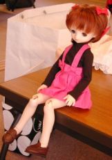 �s�m�R������SD�w�b�h�~�jSD