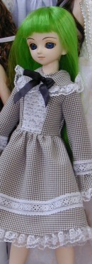 �`�F�b�N�̃h���X�{�΂̃E�B�b�O