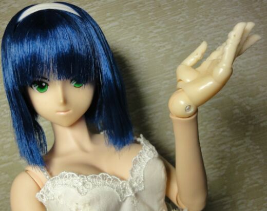 DD�p�t�����w���������t��