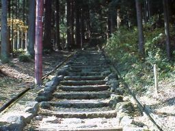 �Βi�E�摜