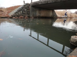 小川の薄氷