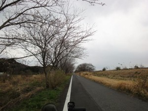 自転車道の様子