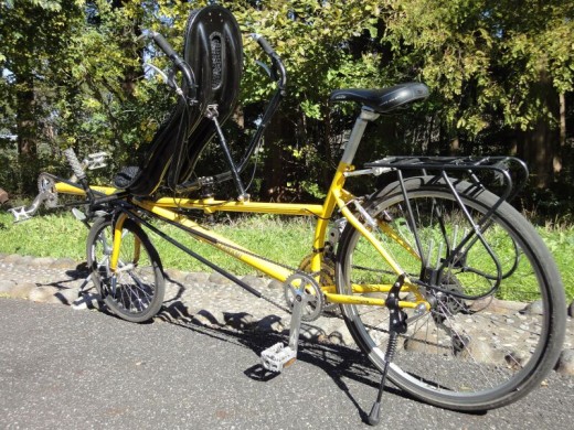 今回のタンデム車はこれのみ