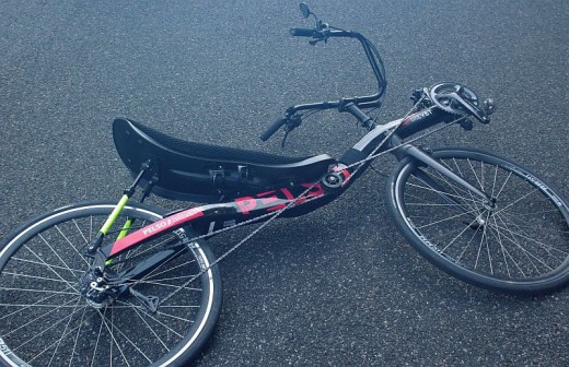 Pelso Brevet Pelso Brevet