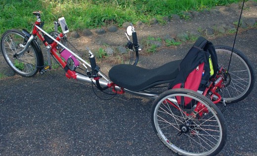 Rans Trizard Rans Trizard