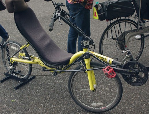 TWBENTS_Mustang TWBENTS_Mustang