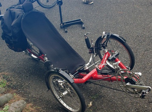 Trice_Micro Trice_Micro