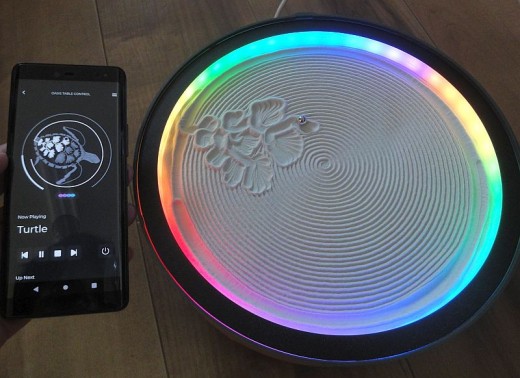 OASISmini_07_Turtle1